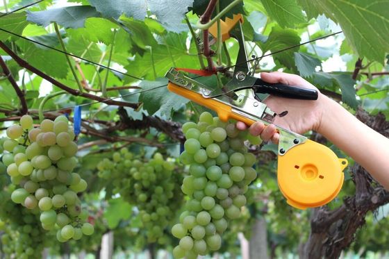 G236B 농업용 테이프 도구 맞춤형 지원 및 0.5kg 무게